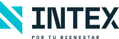 Intex Logotipo