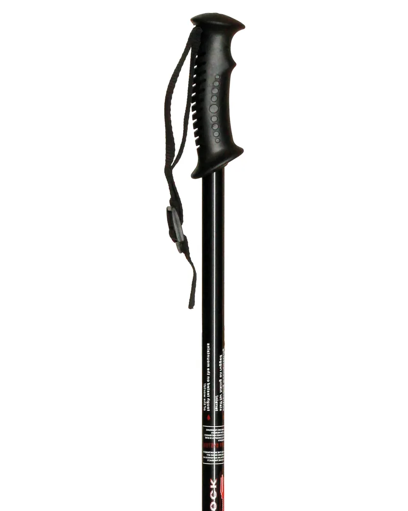 Bastón trekking extensible · Negro INTEX BTE001